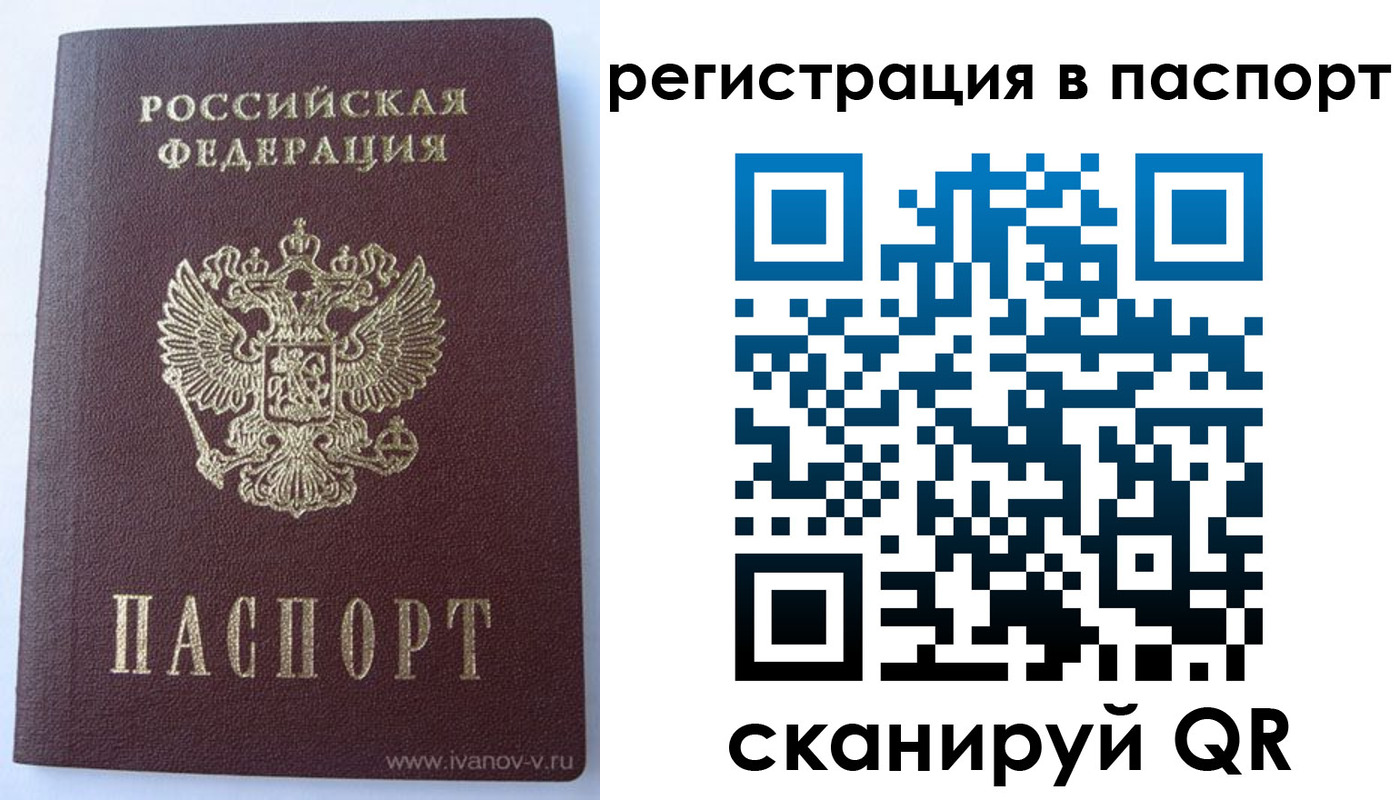 прописка поиск в Солнечногорске
